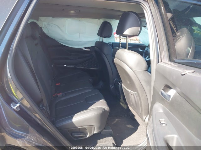 2023 Hyundai Santa Fe Sel Premium მანქანა იყიდება აუქციონზე, vin: 5NMS3DAJ1PH525593, აუქციონის ნომერი: 12599268