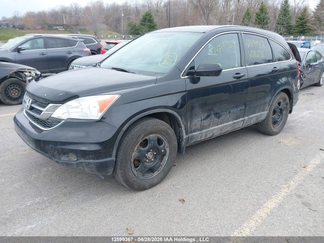 Продаж на аукціоні авто 2011 Honda Cr-v, vin: 5J6RE4H53BL814638, номер лоту: 12599367