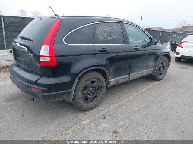 Продаж на аукціоні авто 2011 Honda Cr-v, vin: 5J6RE4H53BL814638, номер лоту: 12599367
