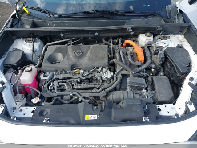 12599423 :رقم المزاد ، 2T3BWRFV7PW180162 vin ، 2023 Toyota Rav4 Le مزاد بيع