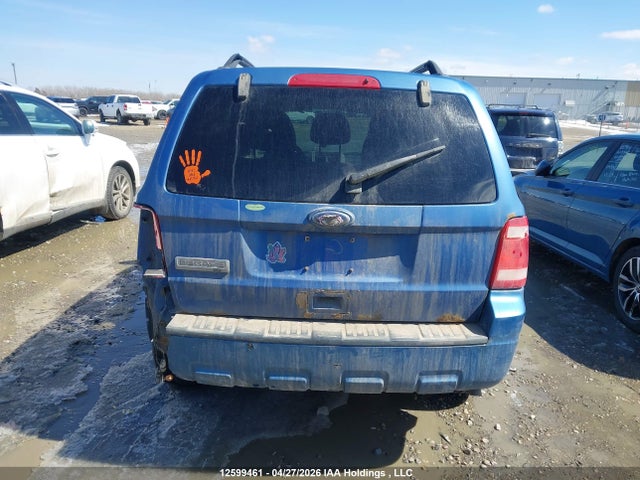 2010 Ford Escape Xlt მანქანა იყიდება აუქციონზე, vin: 1FMCU9D77AKC02557, აუქციონის ნომერი: 12599461