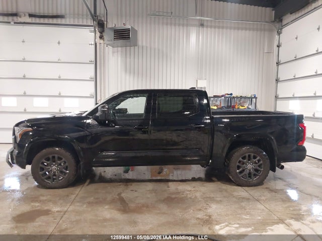 5TFNC5DB3PX034506 Toyota Tundra Crewmax Platinum/crewmax 1794