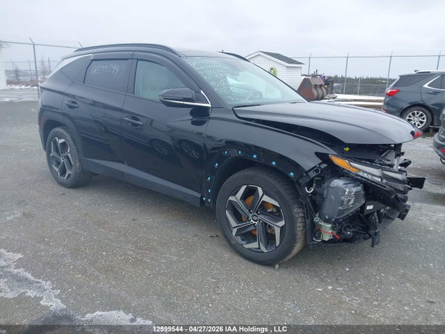 Продаж на аукціоні авто 2024 Hyundai Tucson Sel Convenience, vin: KM8JCCD17RU196682, номер лоту: 12599544