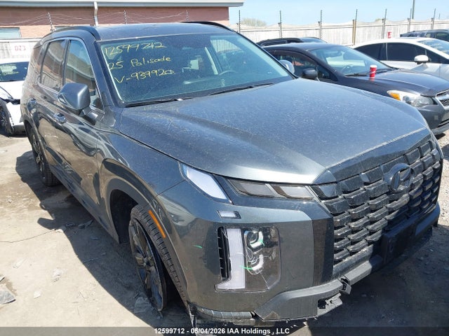 Hyundai Palisade Xrt 2025 KM8R3DGE3SU939920 головне зображення