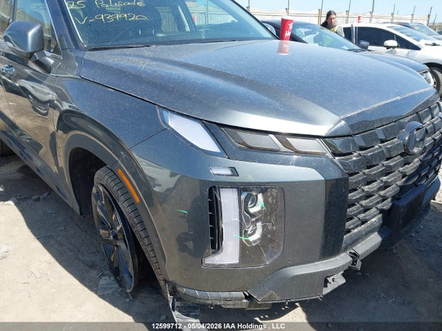 Hyundai Palisade Xrt 2025 KM8R3DGE3SU939920 Image 6