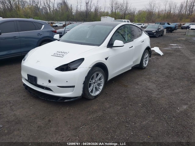 Продажа на аукционе авто 2022 Tesla Model Y, vin: 7SAYGAEE4NF464302, номер лота: 12599761