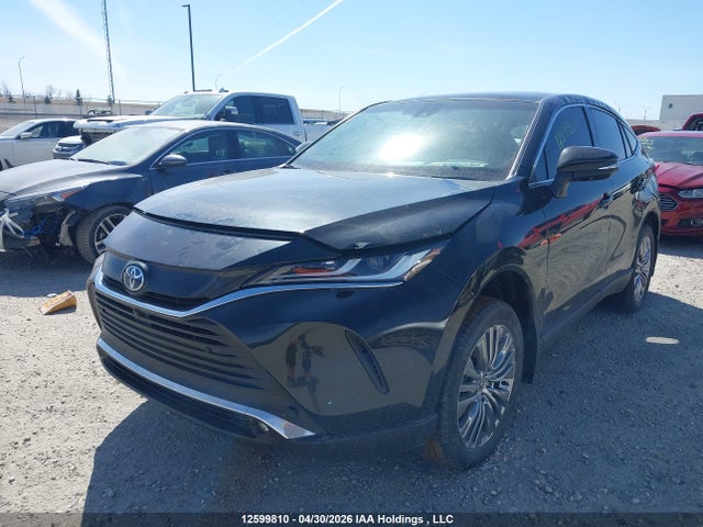12599810 :رقم المزاد ، JTEAAAAH2RJ164784 vin ، 2024 Toyota Venza Le/xle/limited/night Shade مزاد بيع