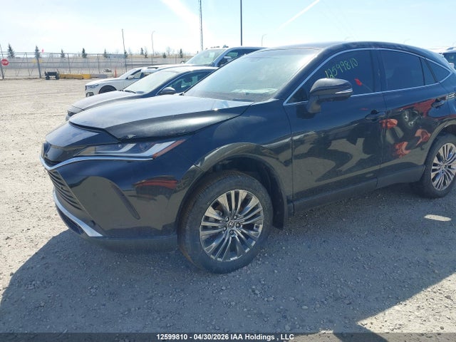 12599810 :رقم المزاد ، JTEAAAAH2RJ164784 vin ، 2024 Toyota Venza Le/xle/limited/night Shade مزاد بيع