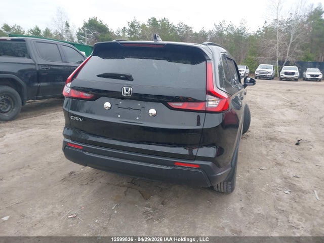 2HKRS4H51RH106269 Honda CR-V