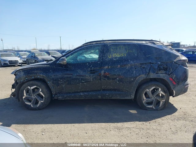 2024 Hyundai Tucson Luxury Awd მანქანა იყიდება აუქციონზე, vin: KM8JCCD11RU138101, აუქციონის ნომერი: 12599848