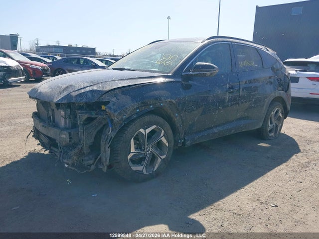 2024 Hyundai Tucson Luxury Awd მანქანა იყიდება აუქციონზე, vin: KM8JCCD11RU138101, აუქციონის ნომერი: 12599848