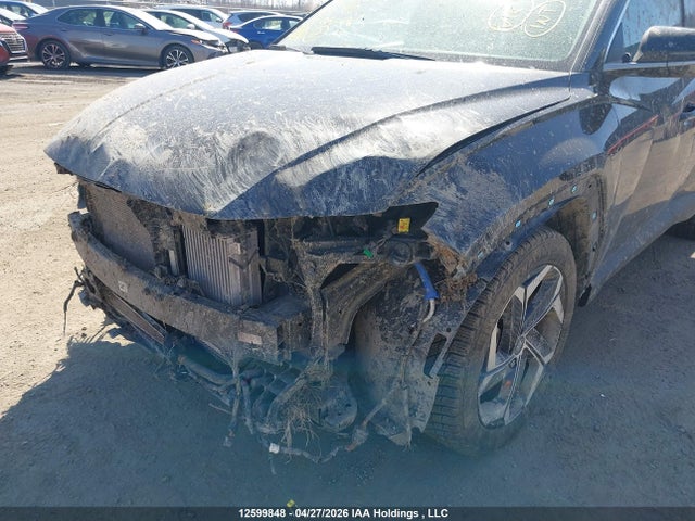 Продажа на аукционе авто 2024 Hyundai Tucson Luxury Awd, vin: KM8JCCD11RU138101, номер лота: 12599848