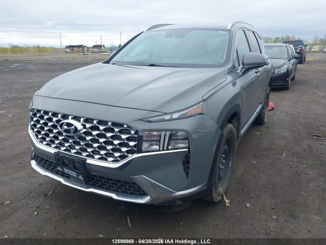 Продаж на аукціоні авто 2023 Hyundai Santa Fe, vin: 5NMS3DAJ5PH535835, номер лоту: 12599868