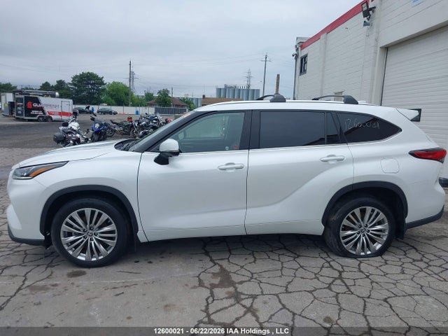 2023 Toyota Highlander L/le/xle/limited/platinum/xse მანქანა იყიდება აუქციონზე, vin: 5TDKDRBH3PS509575, აუქციონის ნომერი: 12600021