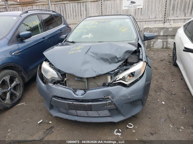 2T1BURHE1GC625718 Toyota Corolla L/le/le Pls/prm/s/s Pls