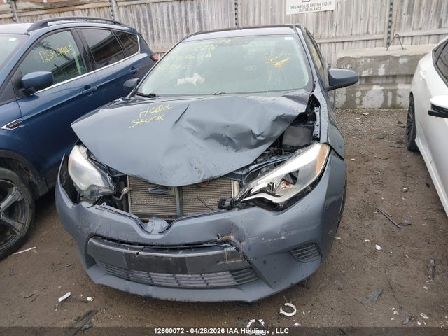 2T1BURHE1GC625718 Toyota Corolla L/le/le Pls/prm/s/s Pls