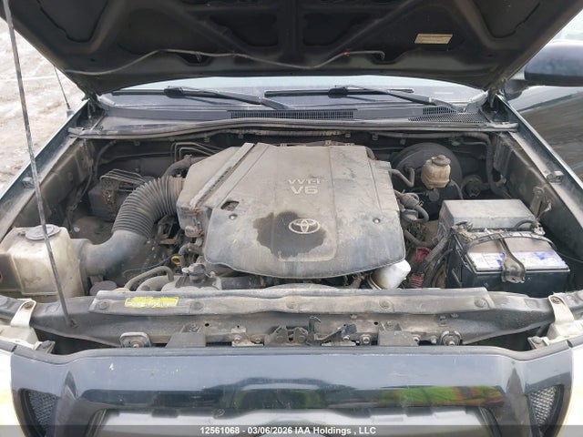 12561068 :رقم المزاد ، 5TEMU52N99Z655427 vin ، 2009 Toyota Tacoma Double Cab Long Bed مزاد بيع