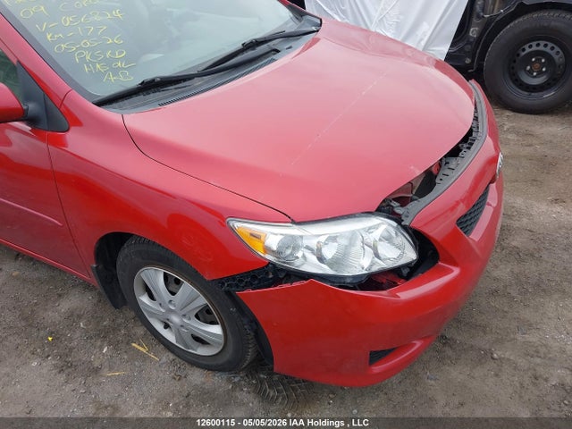 12600115 :رقم المزاد ، 2T1BU40E19C056824 vin ، 2009 Toyota Corolla S/le/xle مزاد بيع