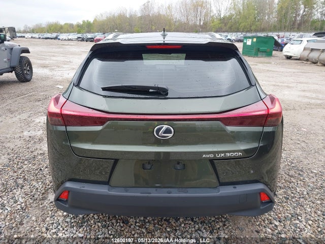 2025 Lexus Ux 300h მანქანა იყიდება აუქციონზე, vin: JTHUCJDH8S2009162, აუქციონის ნომერი: 12600197