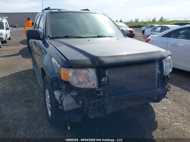 Продаж на аукціоні авто 2009 Ford Escape Xlt Automatic, vin: 1FMCU93G49KD02676, номер лоту: 12600255