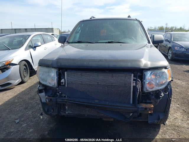 Продаж на аукціоні авто 2009 Ford Escape Xlt Automatic, vin: 1FMCU93G49KD02676, номер лоту: 12600255