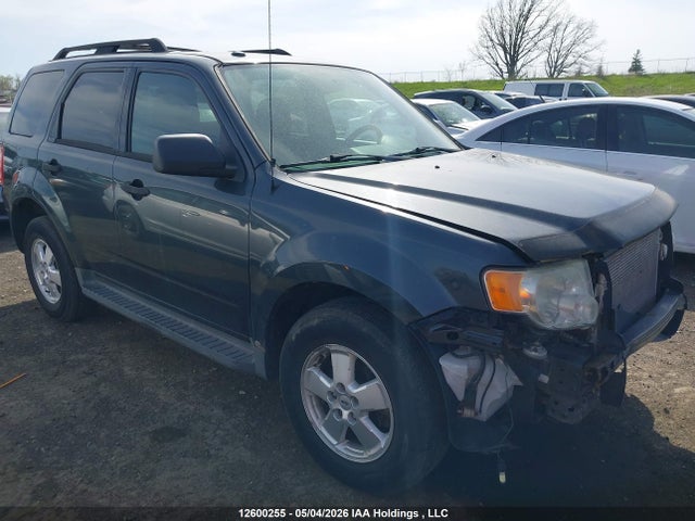Продаж на аукціоні авто 2009 Ford Escape Xlt Automatic, vin: 1FMCU93G49KD02676, номер лоту: 12600255
