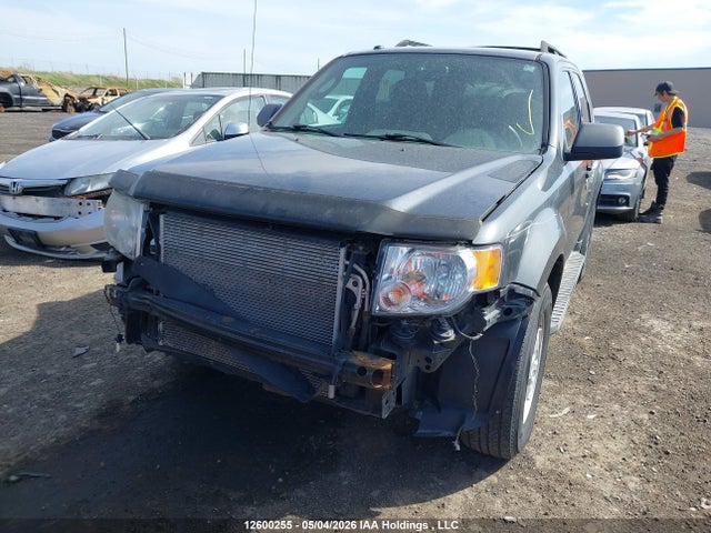 Продаж на аукціоні авто 2009 Ford Escape Xlt Automatic, vin: 1FMCU93G49KD02676, номер лоту: 12600255