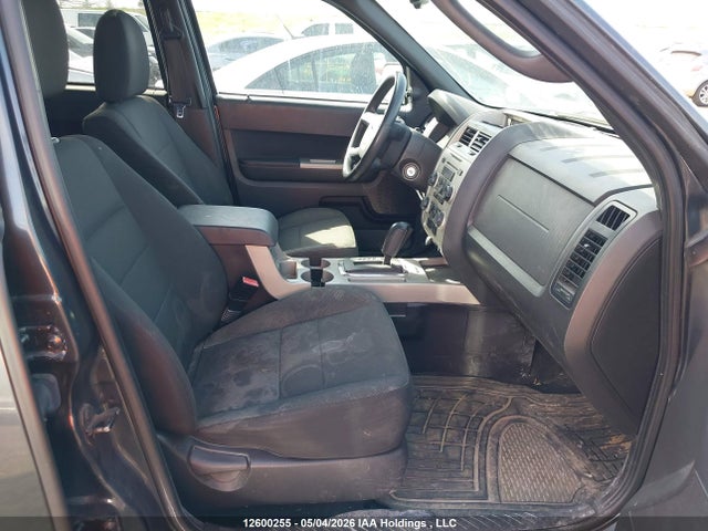 Продаж на аукціоні авто 2009 Ford Escape Xlt Automatic, vin: 1FMCU93G49KD02676, номер лоту: 12600255