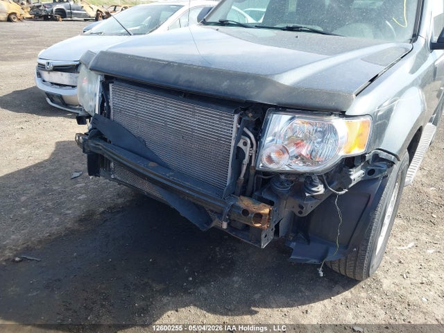 Продаж на аукціоні авто 2009 Ford Escape Xlt Automatic, vin: 1FMCU93G49KD02676, номер лоту: 12600255