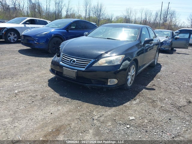 Aukcja sprzedaży 2010 Lexus Es 350 350, vin: JTHBK1EG7A2346355, numer aukcji: 12600263
