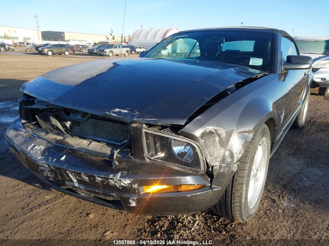 Продажа на аукционе авто 2008 Ford Mustang Convertible, vin: 1ZVHT84N685179493, номер лота: 12587868