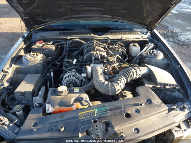 Продажа на аукционе авто 2008 Ford Mustang Convertible, vin: 1ZVHT84N685179493, номер лота: 12587868