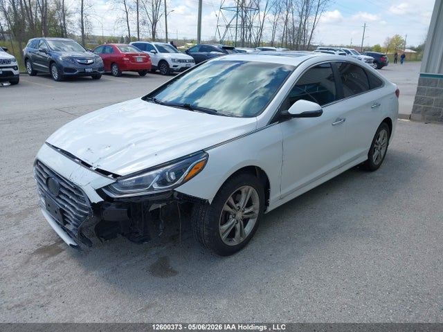 Продаж на аукціоні авто 2019 Hyundai Sonata Limited/sel/sport, vin: 5NPE34AF1KH731047, номер лоту: 12600373