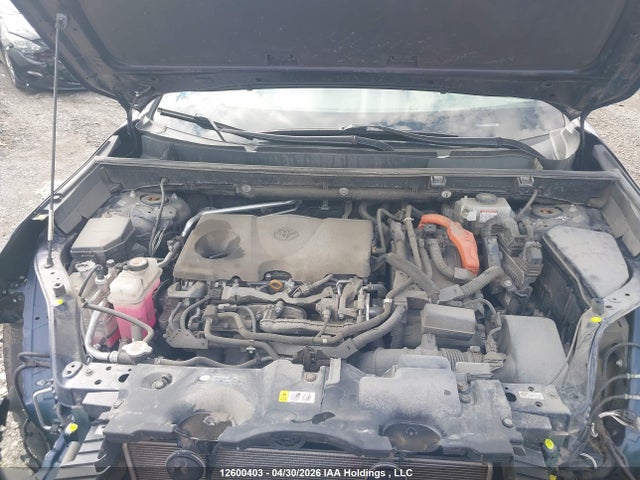 2020 Toyota Rav4 Xle/xse მანქანა იყიდება აუქციონზე, vin: 2T3RWRFVXLW077813, აუქციონის ნომერი: 12600403