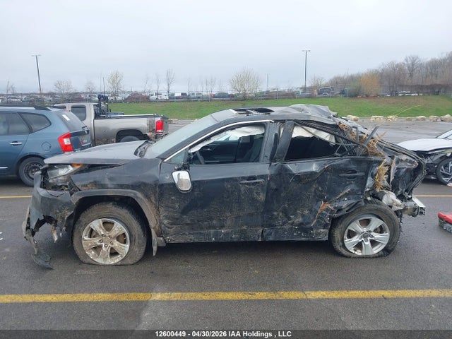 12600449 :رقم المزاد ، 2T3R1RFV4LC088242 vin ، 2020 Toyota Rav4 مزاد بيع