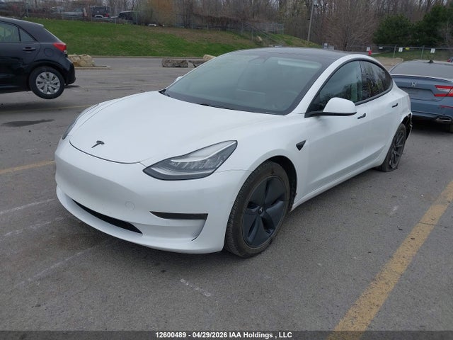 Tesla MODEL 3 2020 5YJ3E1EA5LF720681 Image 2