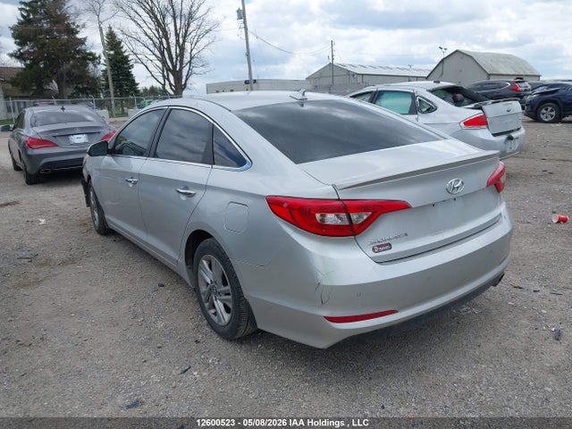 5NPE24AF0GH331085 Hyundai Sonata Gls Special Edition
