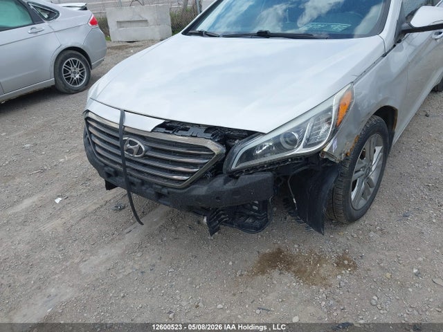 5NPE24AF0GH331085 Hyundai Sonata Gls Special Edition