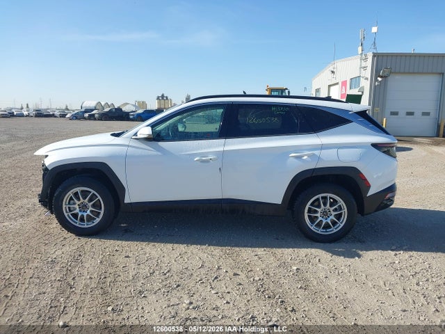 2022 Hyundai Tucson Sel მანქანა იყიდება აუქციონზე, vin: KM8JCCAEXNU029511, აუქციონის ნომერი: 12600538