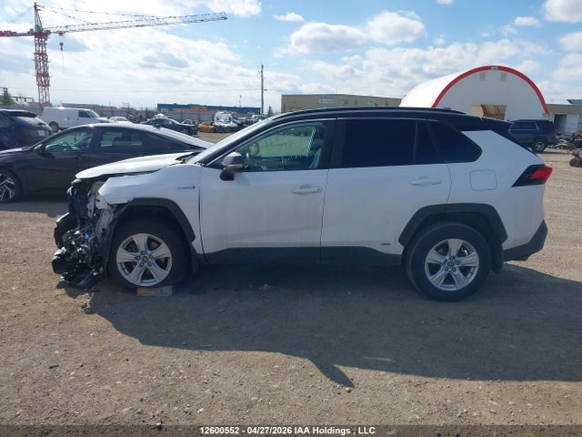 Продаж на аукціоні авто 2019 Toyota Rav4 Xle/xse, vin: 2T3RWRFVXKW025404, номер лоту: 12600552