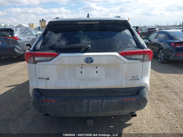 Продаж на аукціоні авто 2019 Toyota Rav4 Xle/xse, vin: 2T3RWRFVXKW025404, номер лоту: 12600552