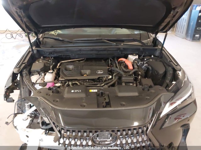 2024 Lexus Nx 350h 350h მანქანა იყიდება აუქციონზე, vin: 2T2GKCEZ3RC018847, აუქციონის ნომერი: 12600559