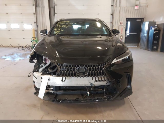 2024 Lexus Nx 350h 350h მანქანა იყიდება აუქციონზე, vin: 2T2GKCEZ3RC018847, აუქციონის ნომერი: 12600559