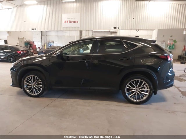 2024 Lexus Nx 350h 350h მანქანა იყიდება აუქციონზე, vin: 2T2GKCEZ3RC018847, აუქციონის ნომერი: 12600559