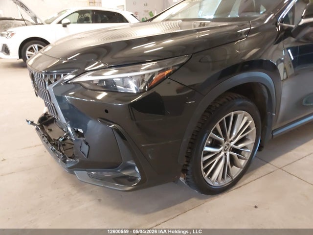 2024 Lexus Nx 350h 350h მანქანა იყიდება აუქციონზე, vin: 2T2GKCEZ3RC018847, აუქციონის ნომერი: 12600559