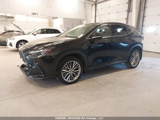 2024 Lexus Nx 350h 350h მანქანა იყიდება აუქციონზე, vin: 2T2GKCEZ3RC018847, აუქციონის ნომერი: 12600559