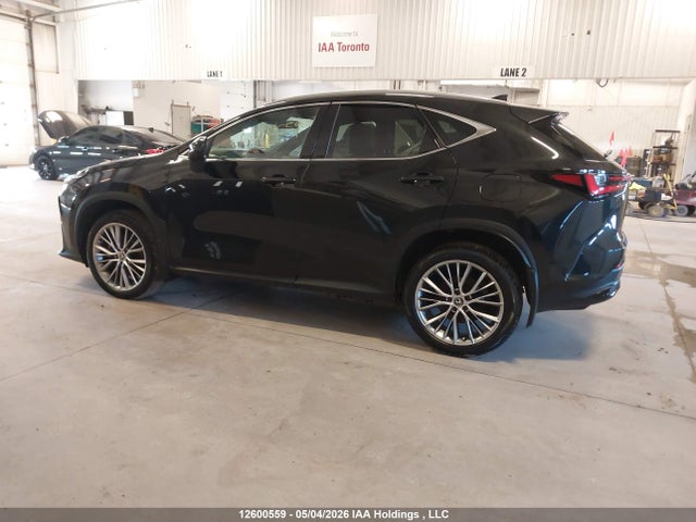 2024 Lexus Nx 350h 350h მანქანა იყიდება აუქციონზე, vin: 2T2GKCEZ3RC018847, აუქციონის ნომერი: 12600559