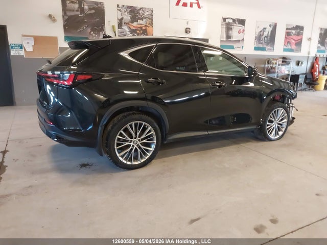 2024 Lexus Nx 350h 350h მანქანა იყიდება აუქციონზე, vin: 2T2GKCEZ3RC018847, აუქციონის ნომერი: 12600559