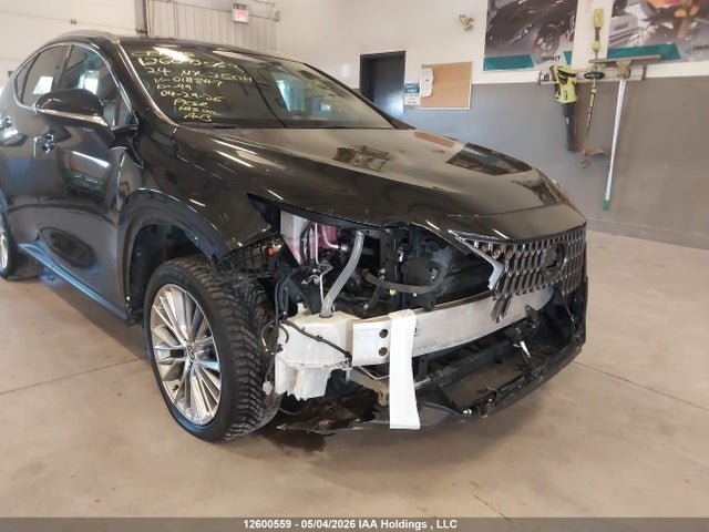 2024 Lexus Nx 350h 350h მანქანა იყიდება აუქციონზე, vin: 2T2GKCEZ3RC018847, აუქციონის ნომერი: 12600559