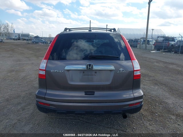 Aukcja sprzedaży 2010 Honda Cr-v Exl, vin: 5J6RE4H74AL820769, numer aukcji: 12600565